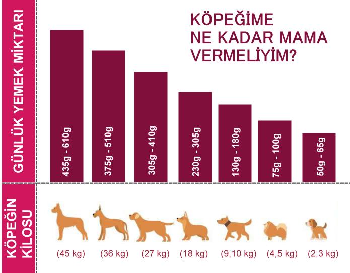 köpek beslenme tablosu